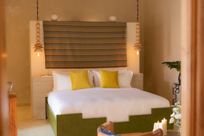 Alma Suite