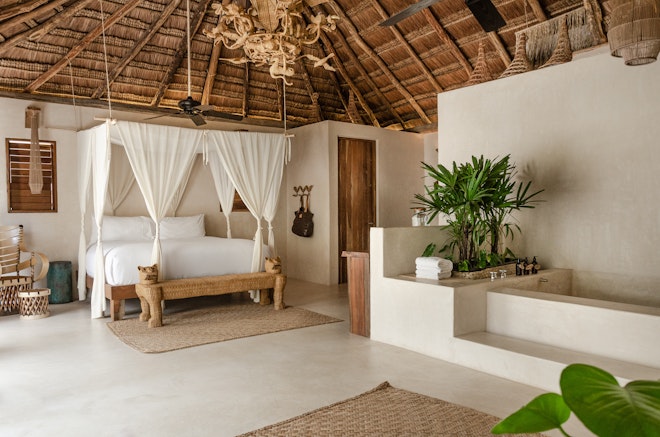Jungle Suite Upper Panoramic Interior View