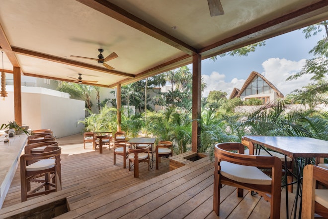 Jungle Dining Area