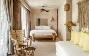 Jungle Suite Lower Room