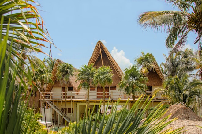 Jungle Suite Upper View