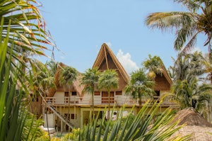 Jungle Suite Upper View