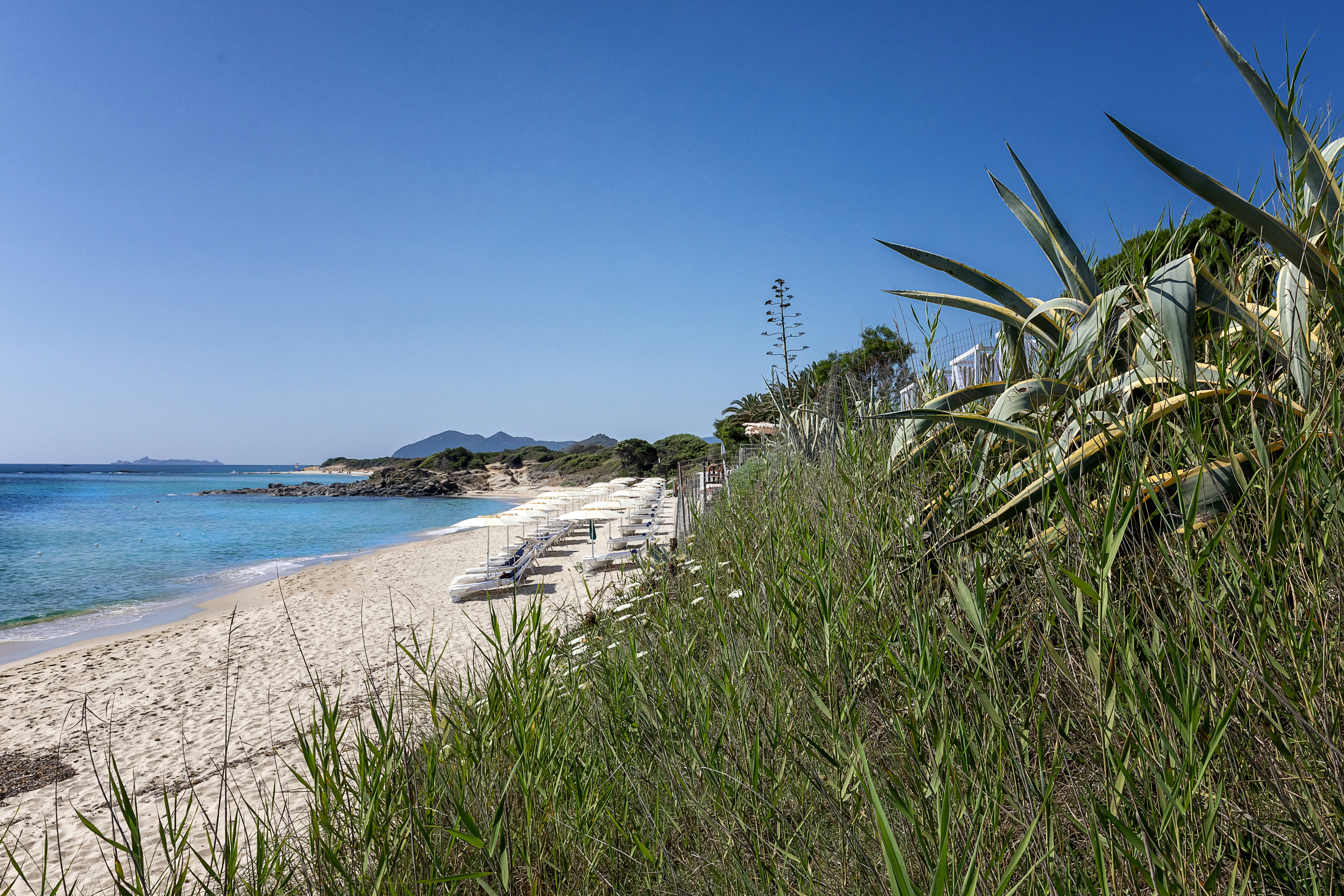 Sneak peek of the Private Beach