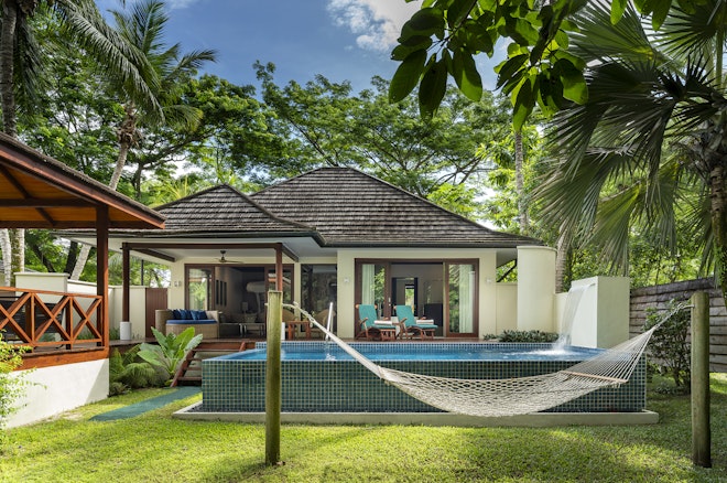 Jungle Sanctuary Pool Villa - Pool