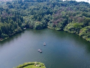 Lake View