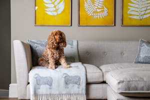Latterbarrow Suite - Dog friendly