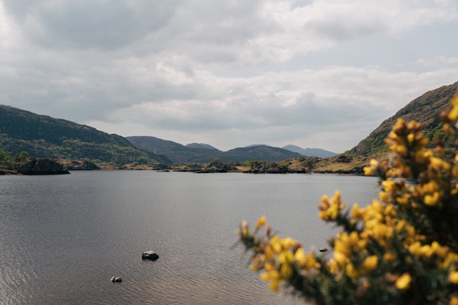 Kenmare Bay