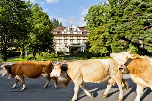 Le Grand Bellevue - Summer