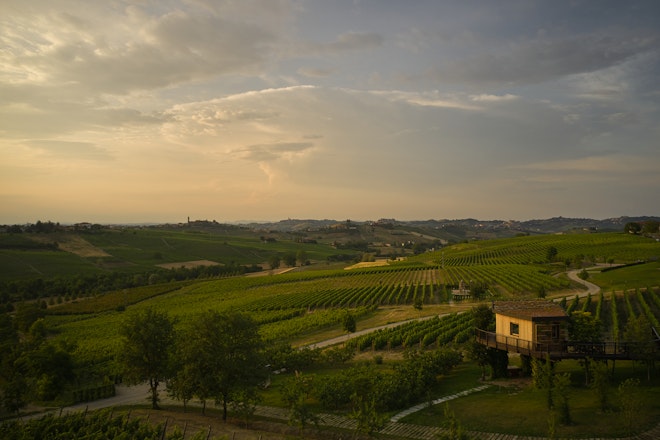 Suspended House In The Vineyards - View