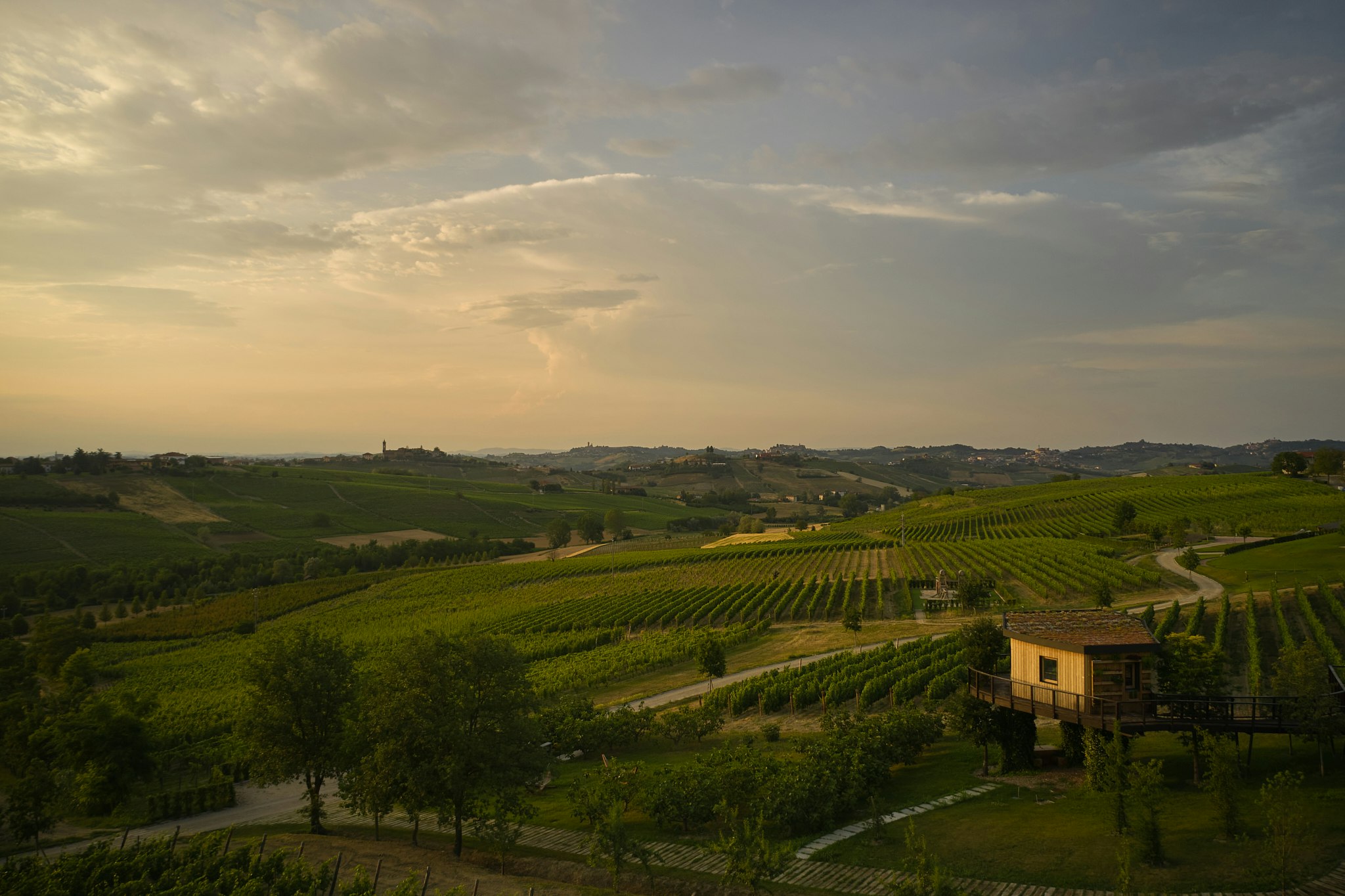 Suspended House In The Vineyards - View