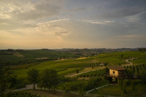 Suspended House In The Vineyards - View