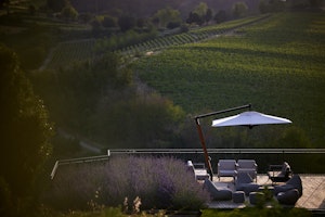 Le Marne Terrace