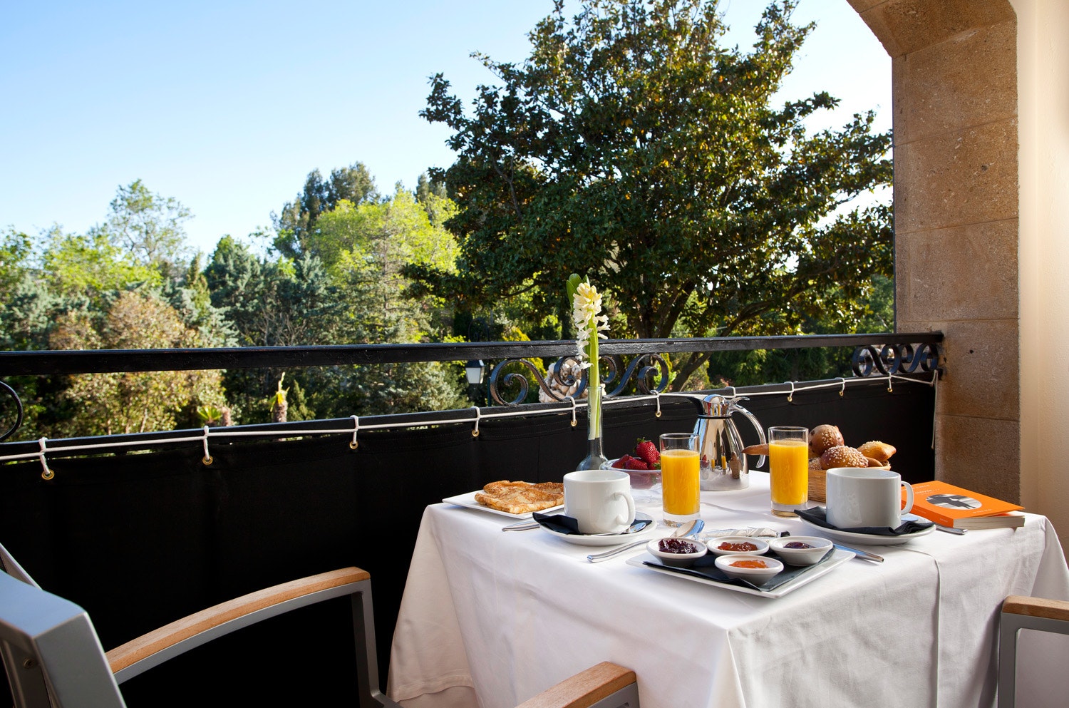 Deluxe room with Terrace