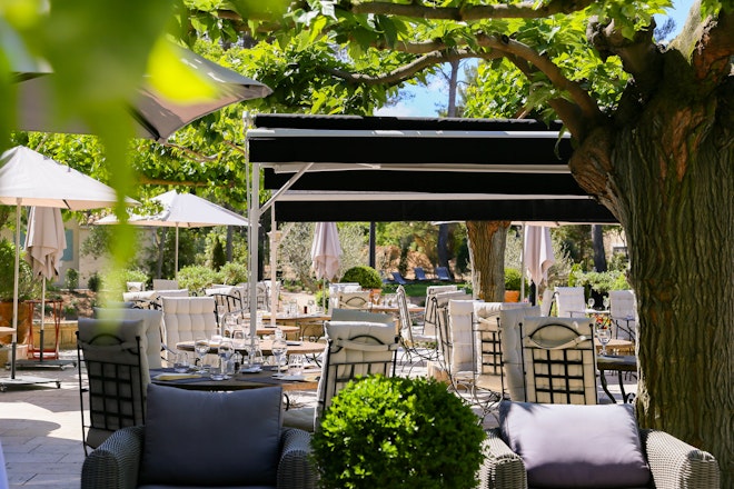 Terrace - Restaurant & Bar