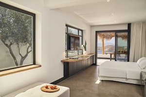 Design Suite Hot Tub