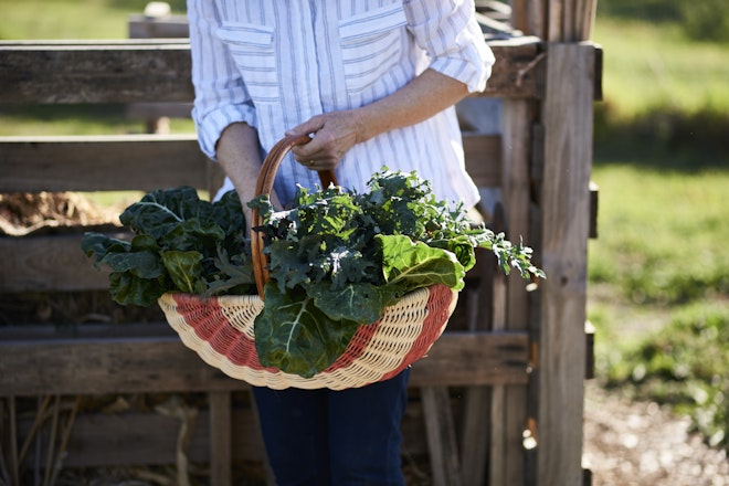 Farm-grown Seasonal Produce