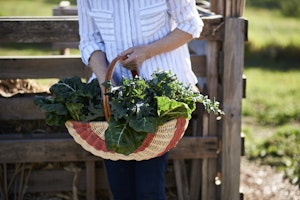 Farm-grown Seasonal Produce
