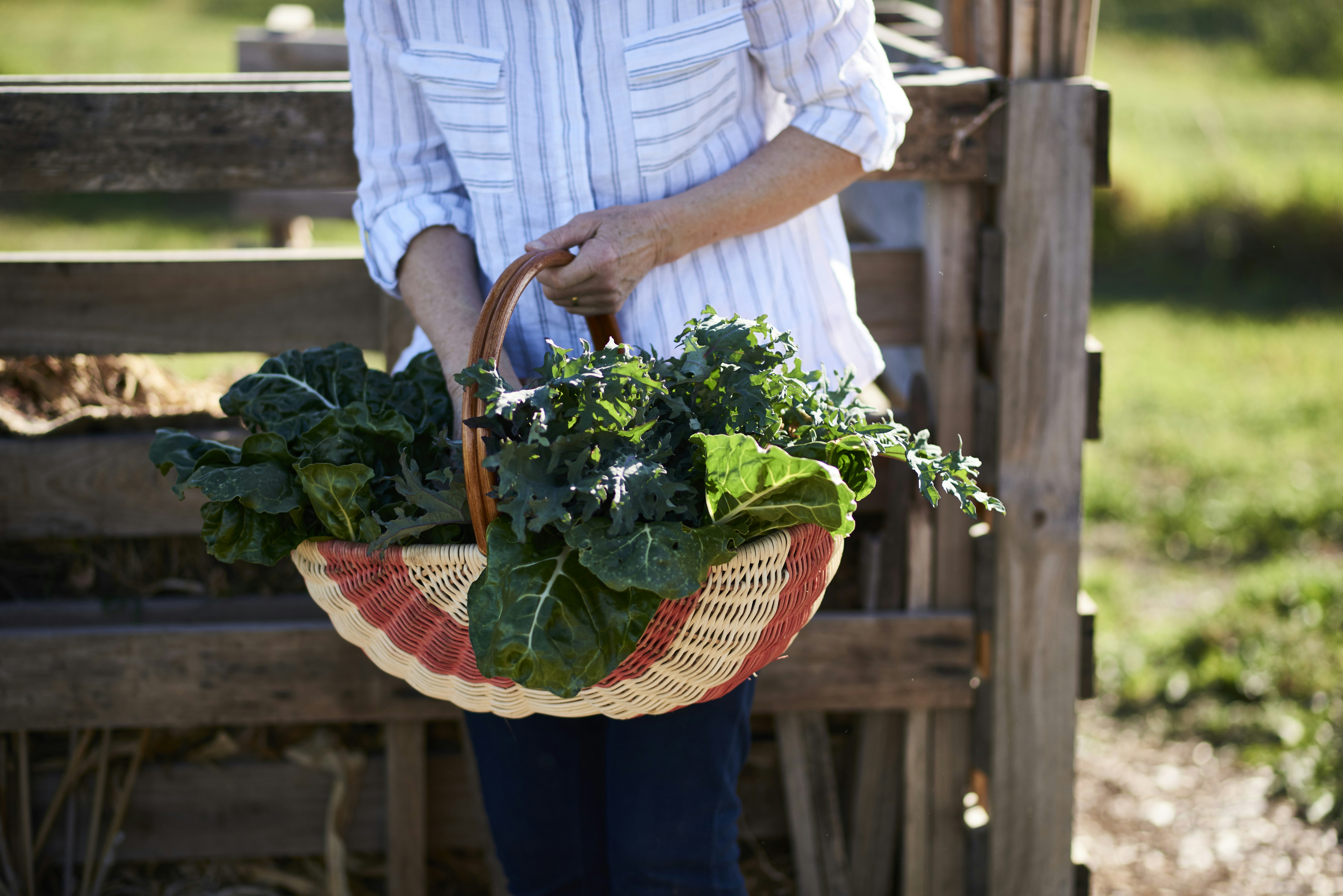 Farm-grown Seasonal Produce