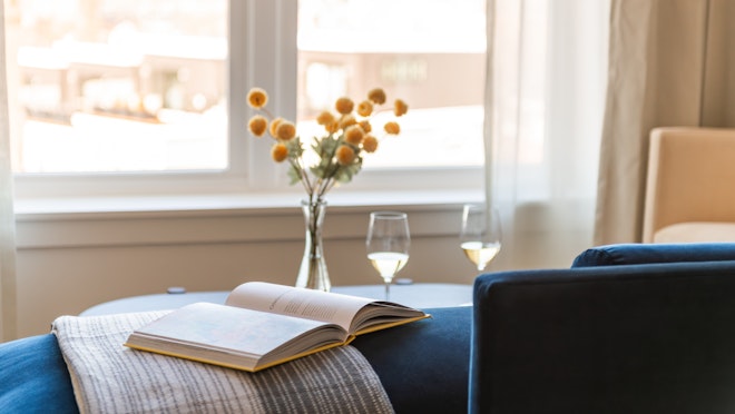 Suite - Living Area Details
