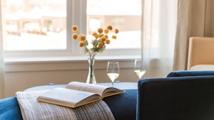 Suite - Living Area Details