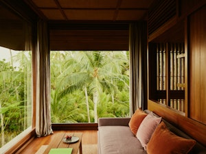Room Jungle view