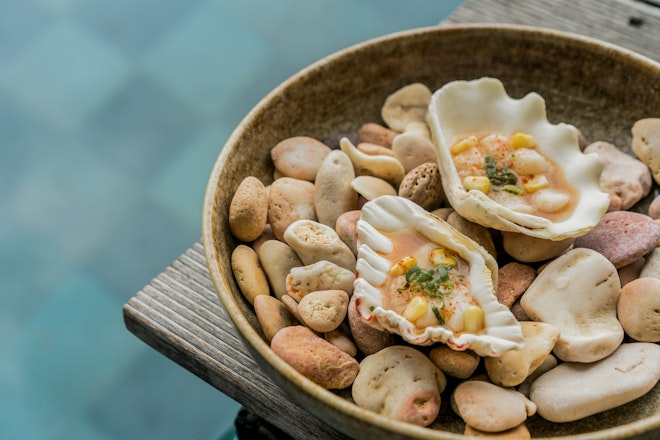 Scallop Ceviche Tapas