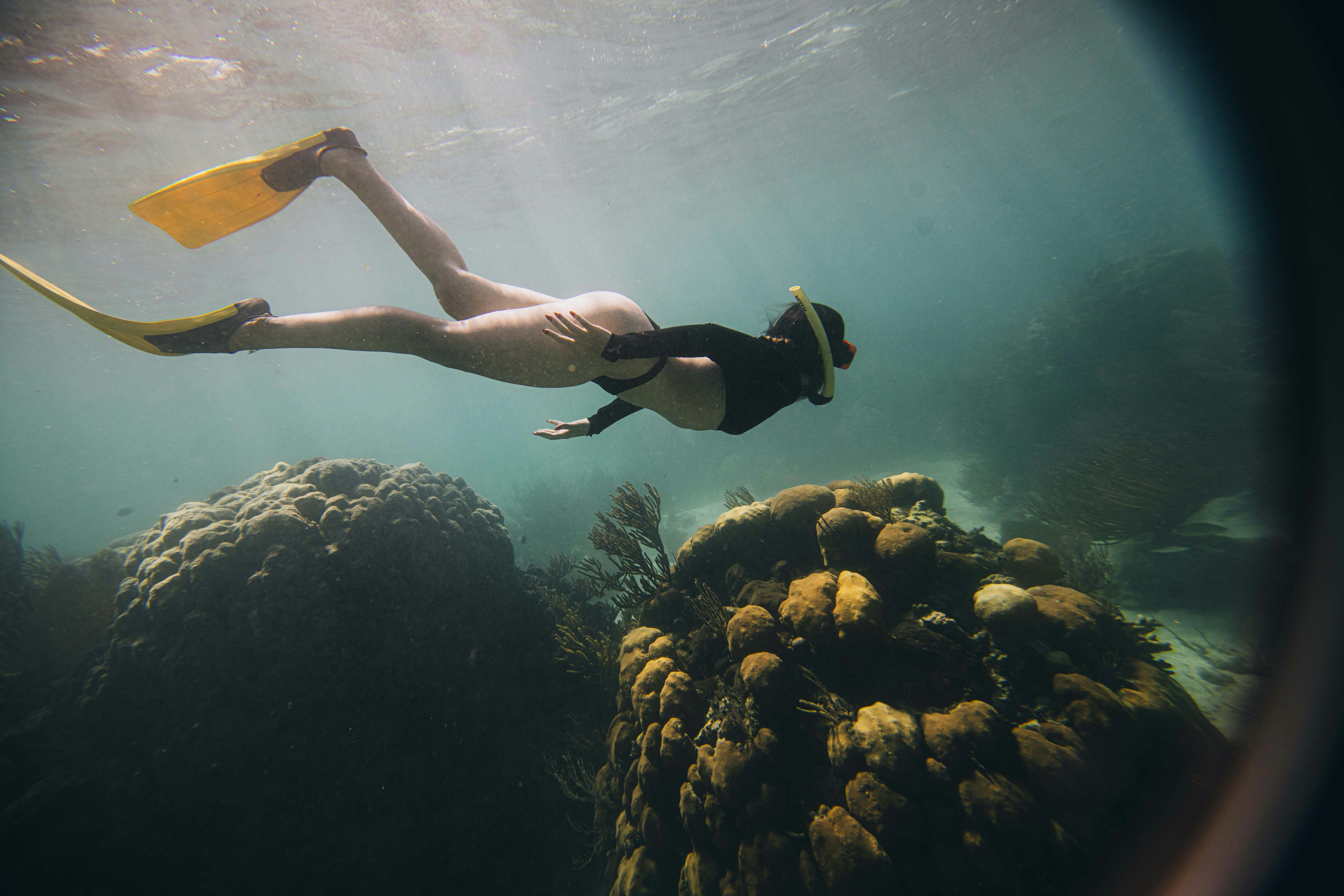 House Reef Snorkelling Experience