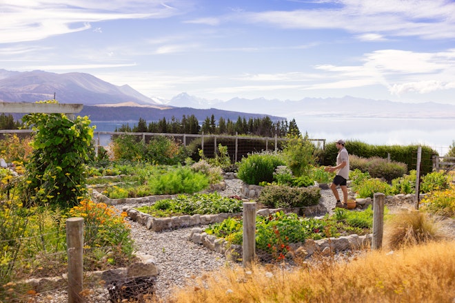Kitchen Gardens