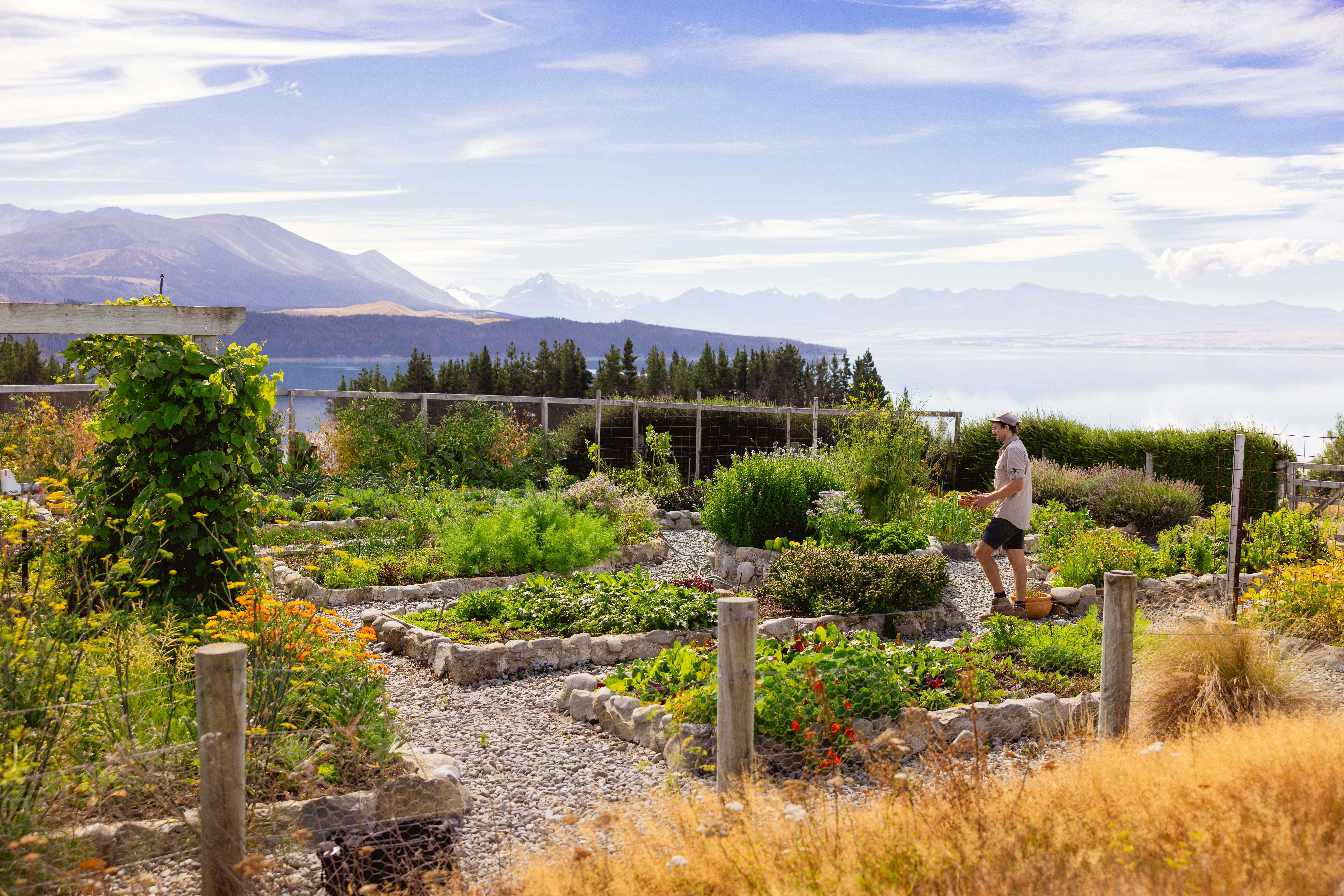 Kitchen Gardens