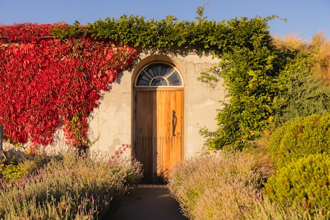 The Observatory & Wine Cellar