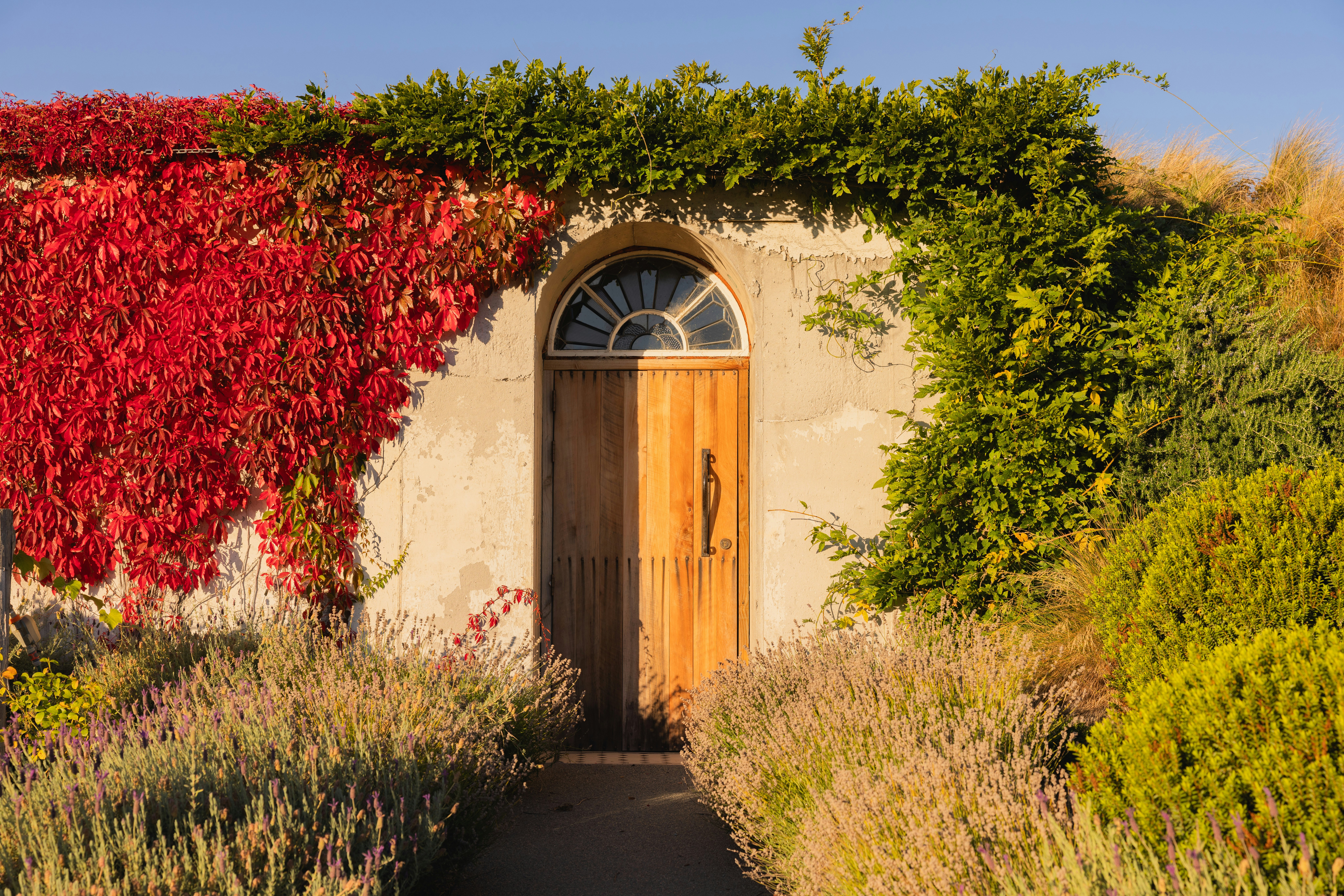 The Observatory & Wine Cellar