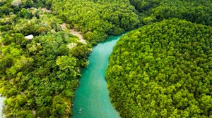 Osa Peninsula