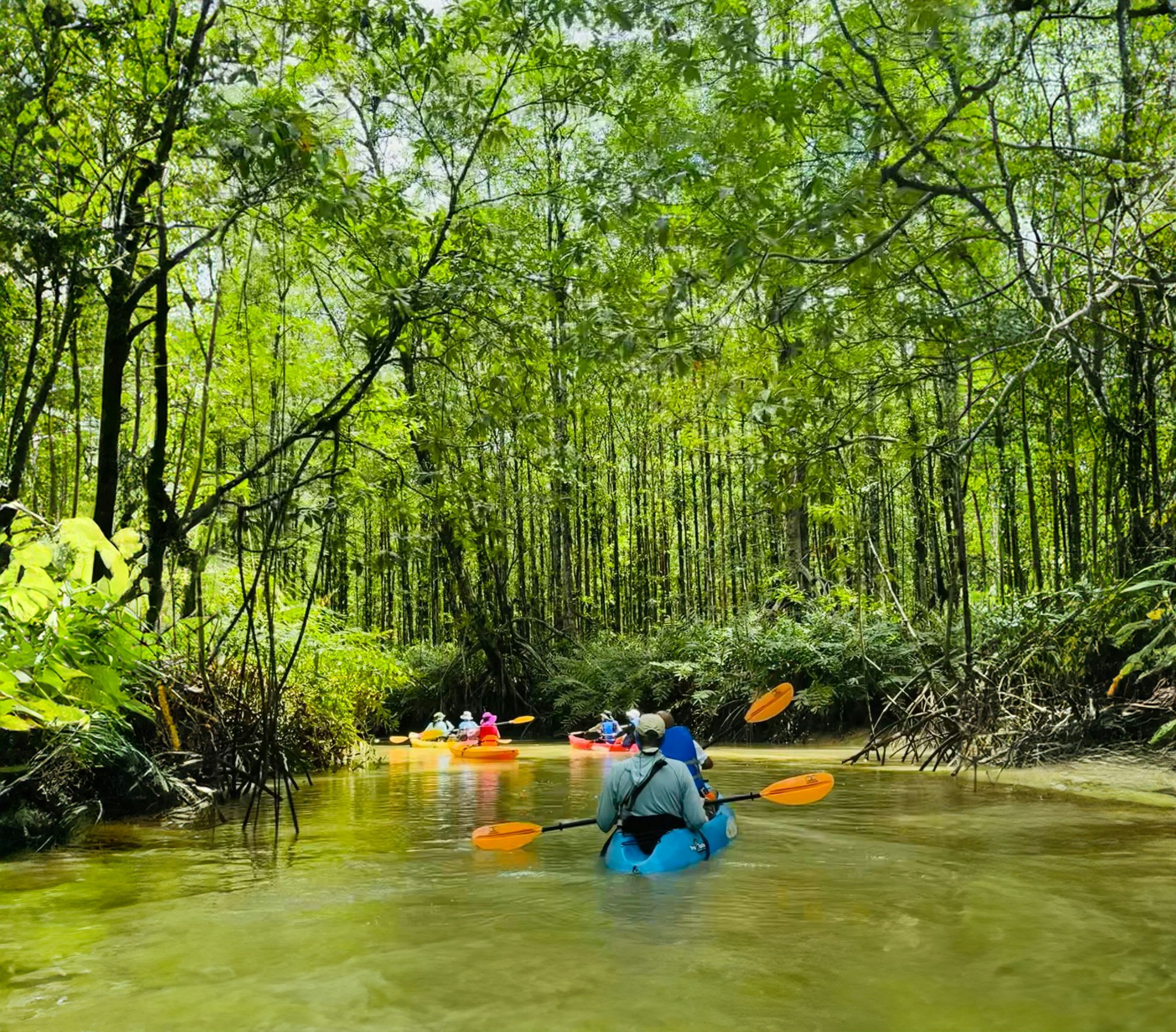 Kayaking Trip