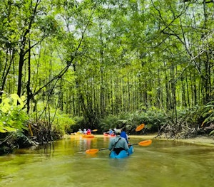 Kayaking Trip