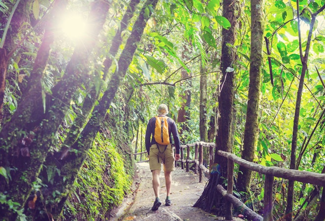 Corcovado National Park