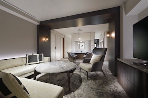Suite - Living Area
