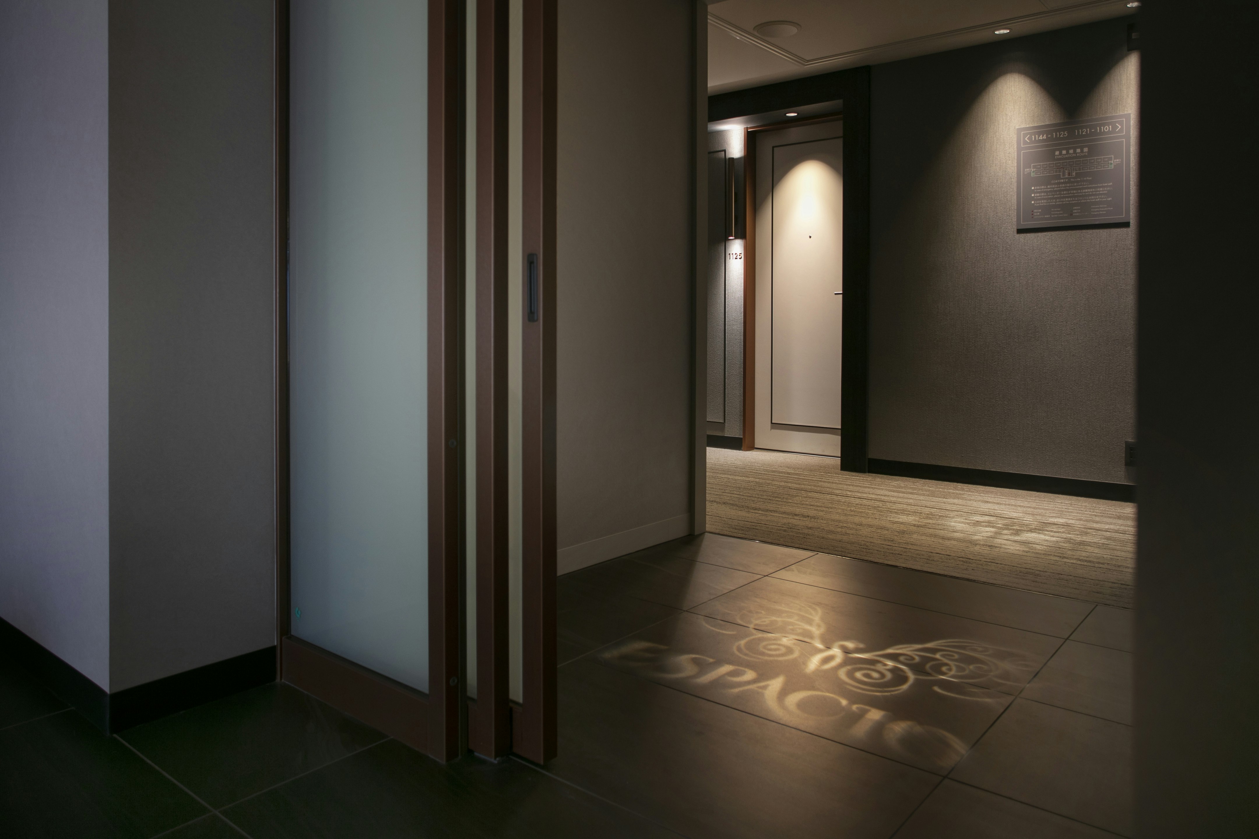 Security Door ESPACIO