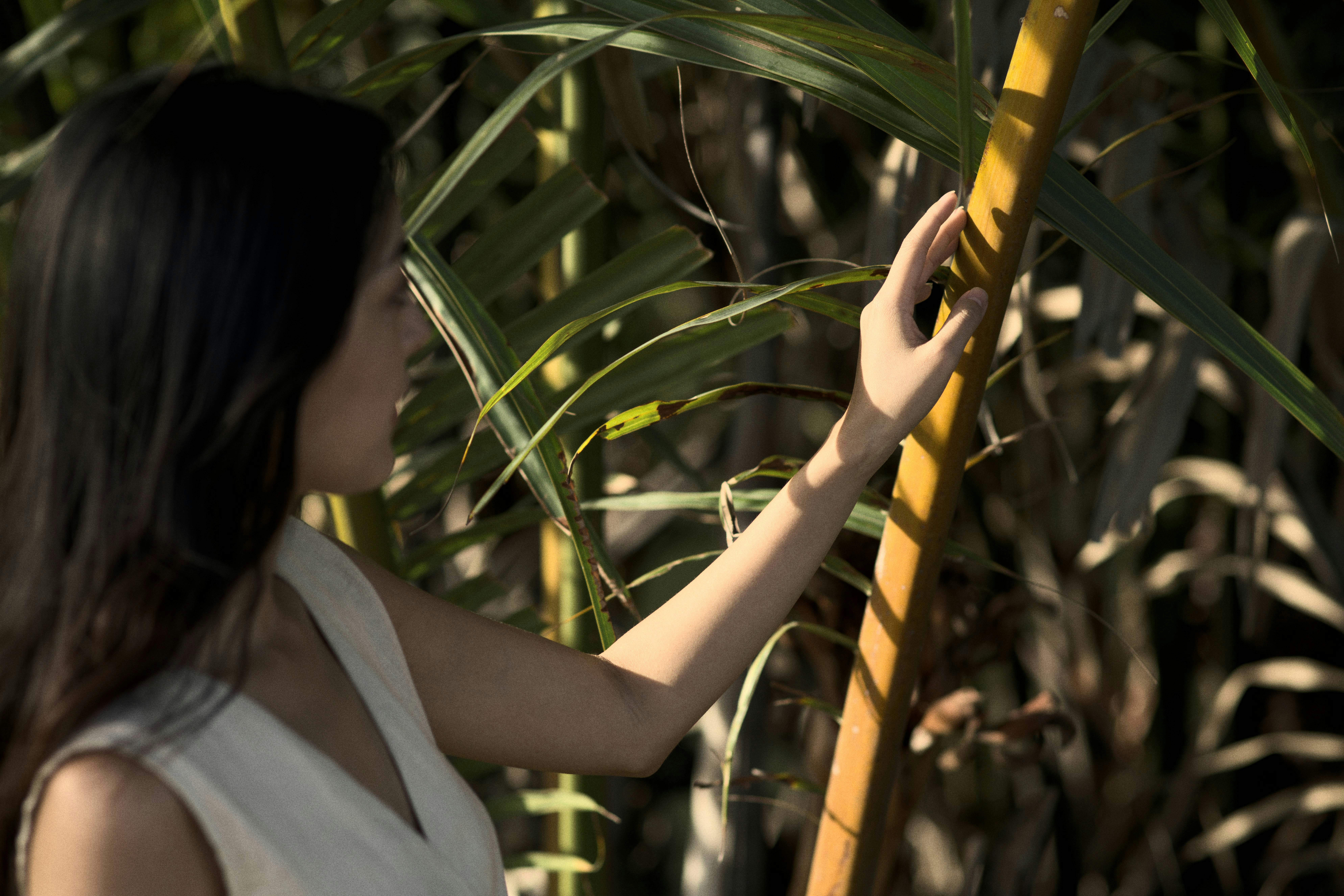 Namia River Retreat - Inspiration