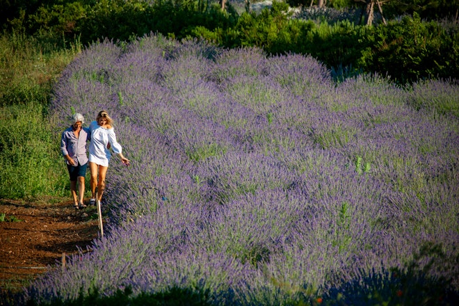 Naturalis Garden Walk - Naturalis Experiences