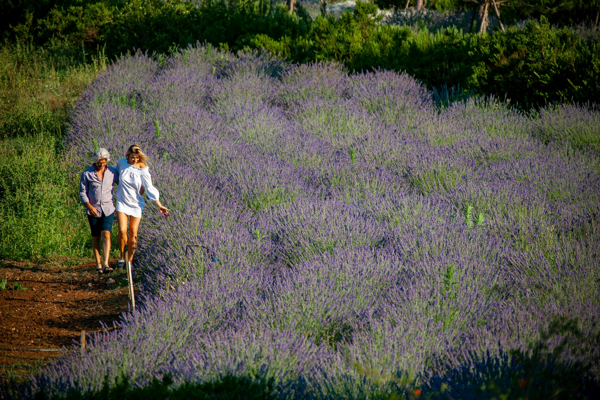 Naturalis Garden Walk - Naturalis Experiences