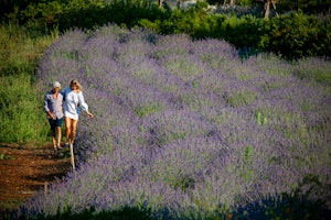 Naturalis Garden Walk - Naturalis Experiences