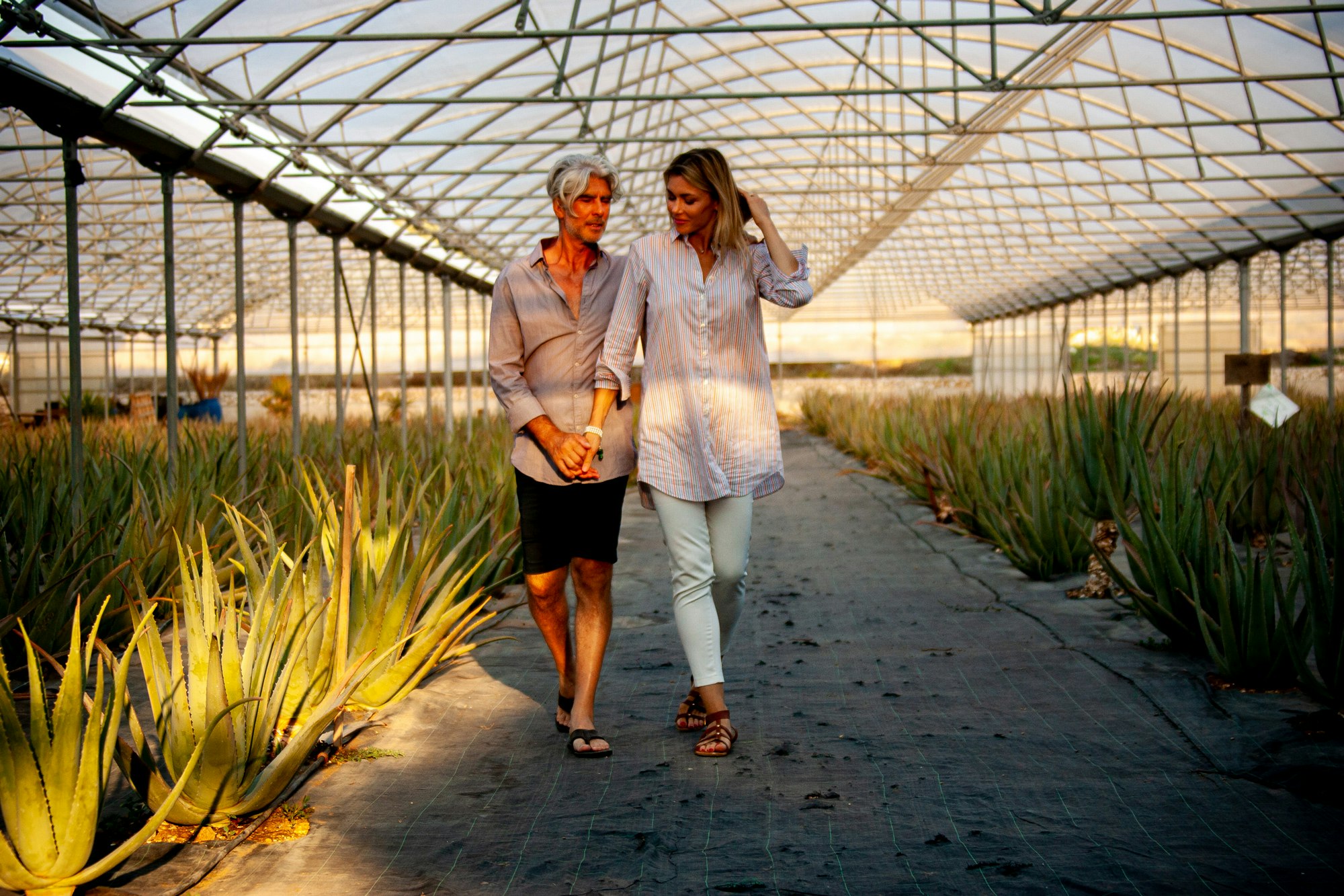 Aloe Vera Plantation Tour - Naturalis Experiences