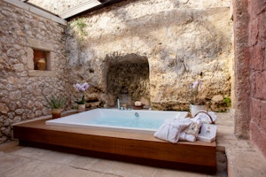 Fig Suite Superior