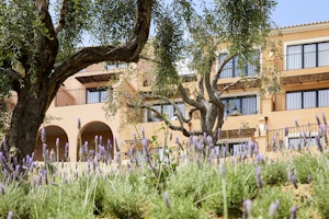Nido gardens