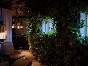 Nimb Wellness