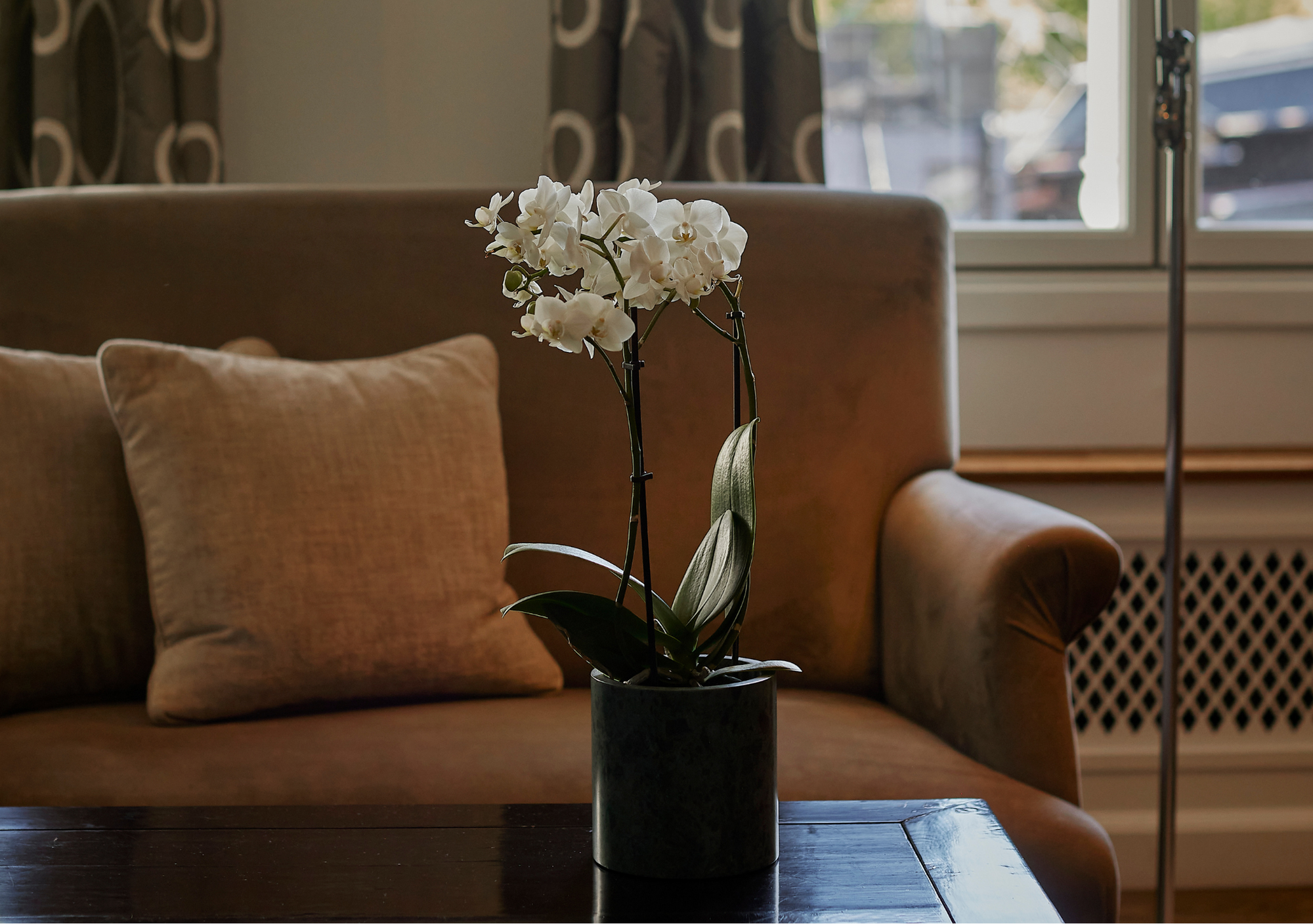 Deluxe Room - Room Details