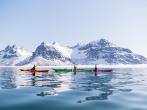 Kayaking Excursion