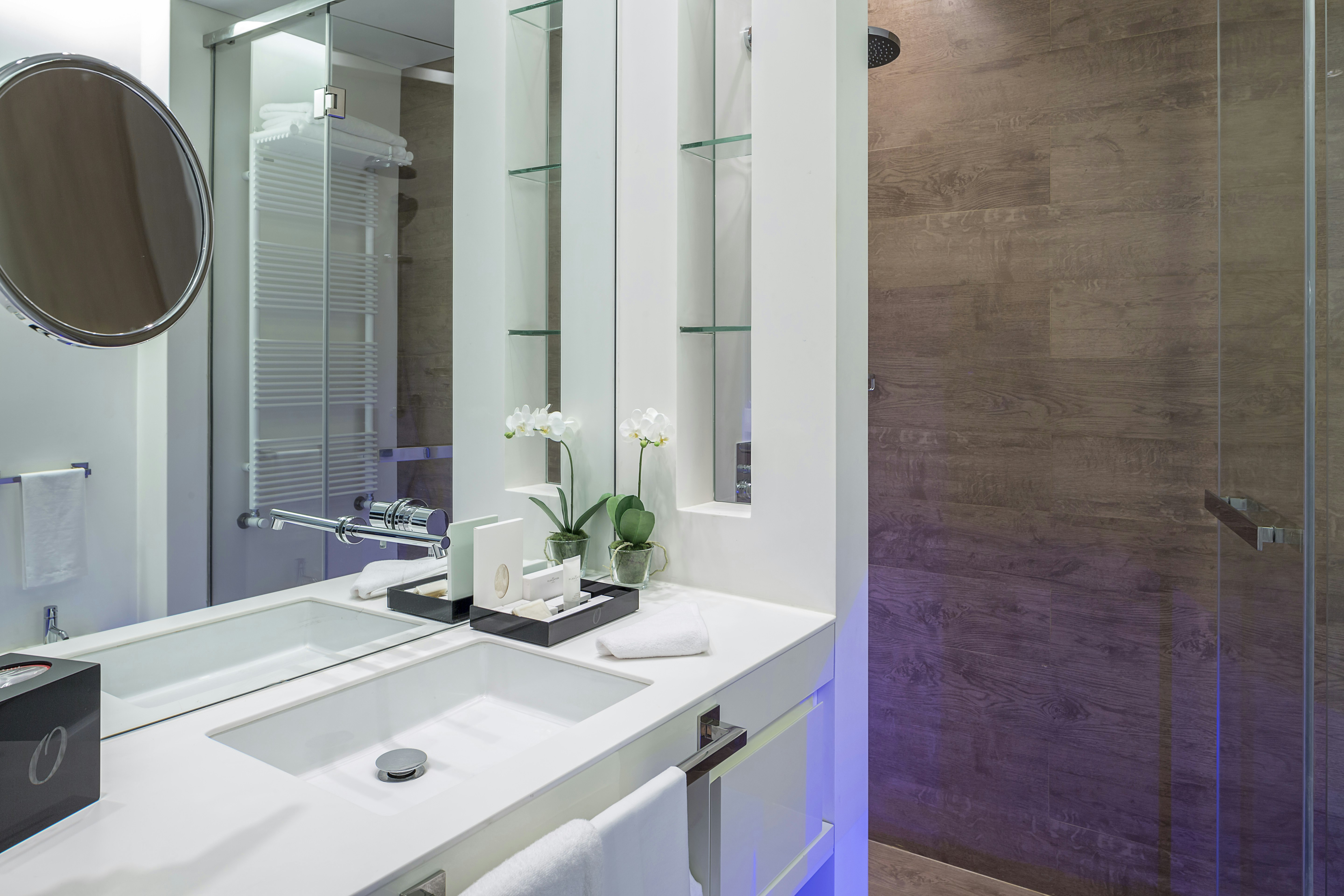 Deluxe Room Bathroom