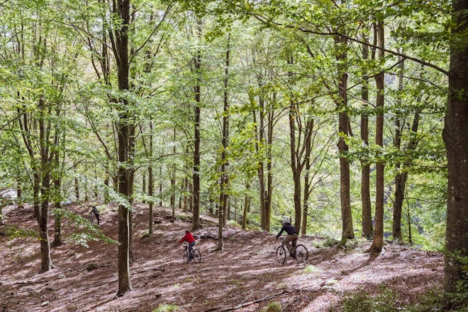 Cycling Activity