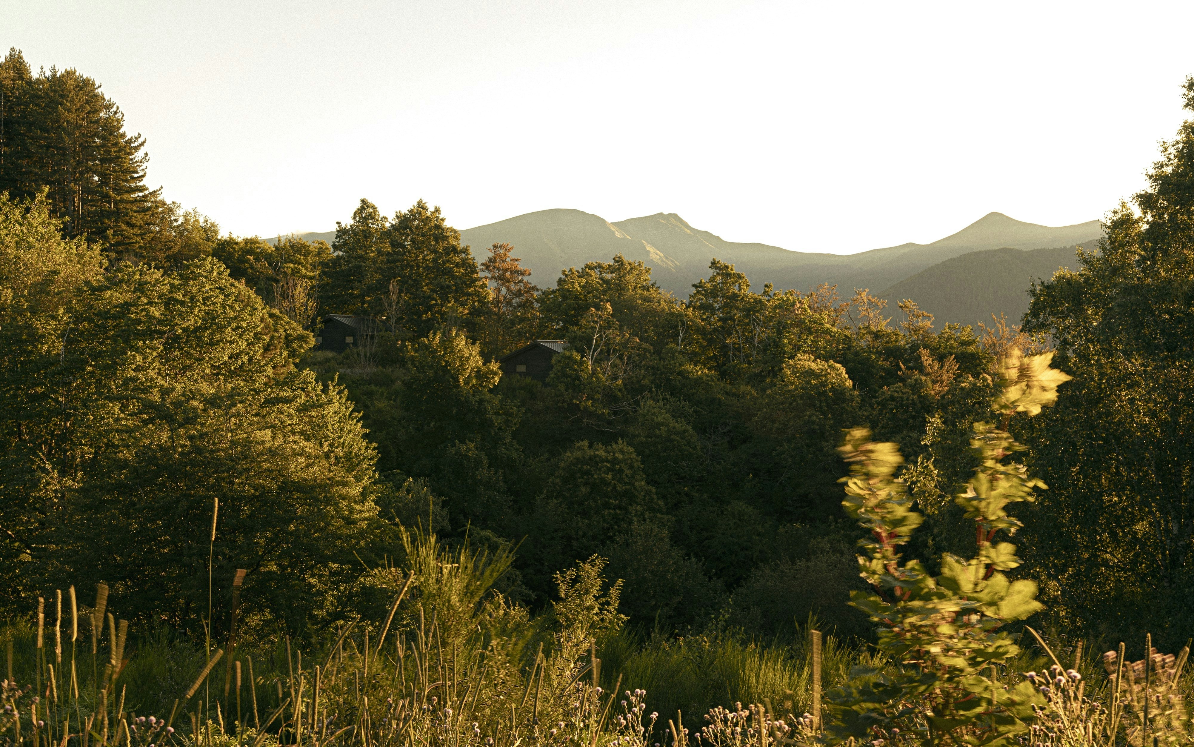 Eco-Lodge Double - View